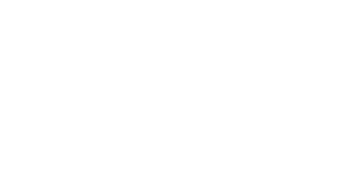 DSRPT
